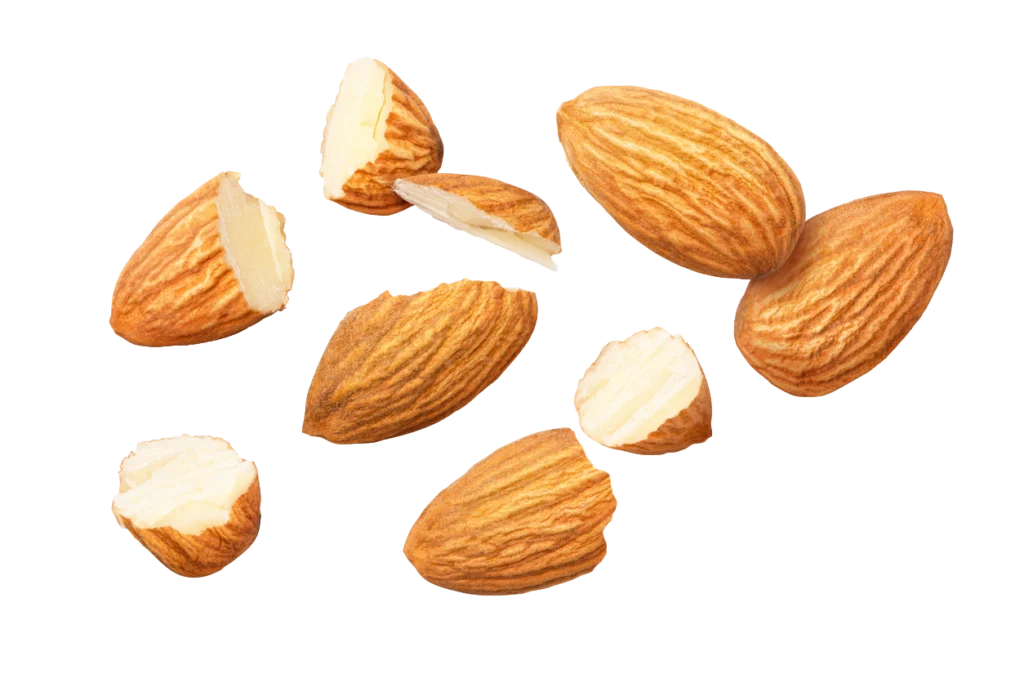 iStock 2206782318 CUTOUT