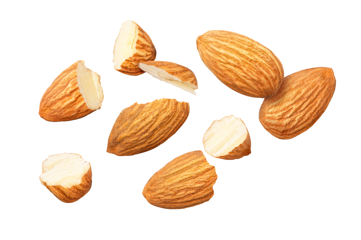 iStock 2206782318 CUTOUT